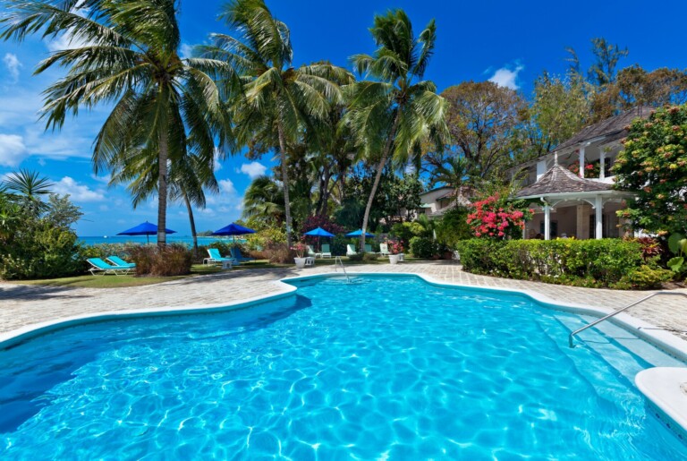 Emerald Beach 4 – Plumbago