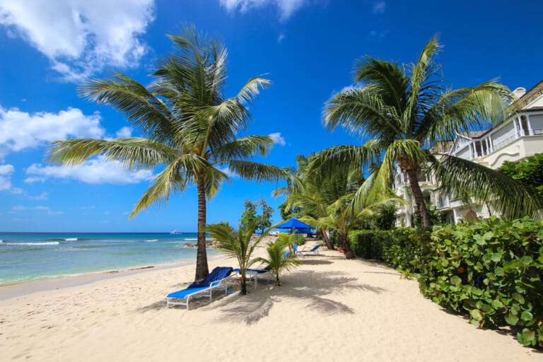Schooner Bay 205